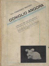 Coniglio angora. francesco usato  Italia