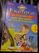 Esplora sensi degli usato  Vittuone