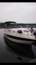Stingray 250cs weiß gebraucht kaufen  Taunusstein