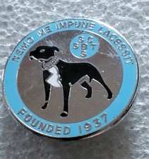 bull terrier bull d'occasion bull terrier bull d'occasion Pacy-sur-Eure
