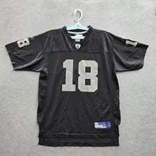 Vintage oakland raiders for sale  Stockton