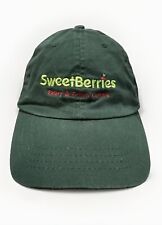 Sweet berries eatery for sale  Chesterfield