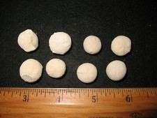 Cretaceous echinoid sea for sale  WAKEFIELD