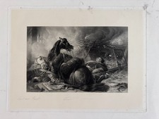 War edwin landseer for sale War edwin landseer for sale  CHELMSFORD
