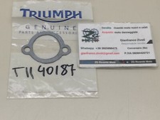 T1140187 originale triumph usato T1140187 originale triumph usato  Conversano