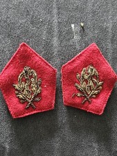 Patte col médecin d'occasion Patte col médecin d'occasion  Illzach