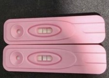 Two positive pregnancy for sale  Red Oak