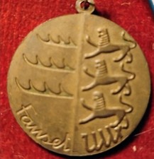 Fausel ullr medaille gebraucht kaufen  Aalen