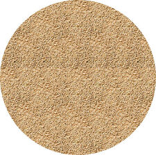 Panicum millet 1.5kg for sale  LEIGHTON BUZZARD