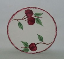 Blue ridge china for sale  Pelham