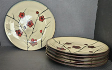 Pfaltzgraff aster pattern for sale  West Chester