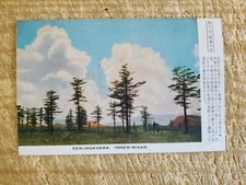 Senjogahara nikko.cartolina vi usato  Spedire a Italy