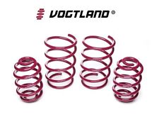 Molle assetto vogtland usato  Italia