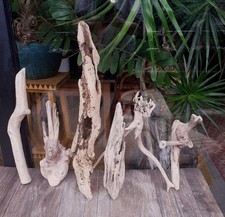 Treibholz schwemmholz cm gebraucht kaufen  Hilden