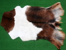 Novo Tapete de Couro de Cabra Cabelo na Área Tamanho 36"x24" Couro Animal Pele de Cabra G-496 comprar usado  Enviando para Brazil