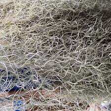 Spanish moss for sale  NORTHAMPTON