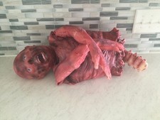 Halloween horror zombie for sale  Hays