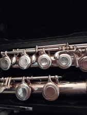 musical instruments trevor james for sale  THORNTON-CLEVELEYS