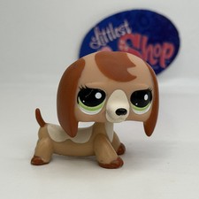 Dachshund dog 2035 for sale  Alexandria