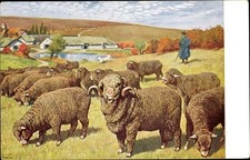 Künstler meinholds tierbild gebraucht kaufen  Berlin