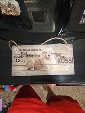 Golden retriever boss for sale  Wylie