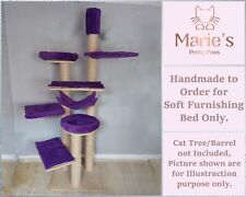 Purple pet cat for sale  CREWE
