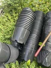 Litre black plant for sale  BLACKPOOL