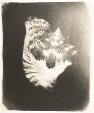 Miroslav tichy tirage d'occasion  Pagny-sur-Moselle