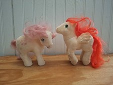 Little pony flocked for sale  York