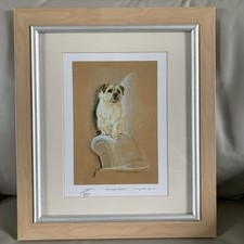 Norfolk terrier ltd for sale  SLEAFORD