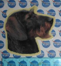 Adesivo sticker vintage usato  Italia