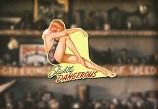 Sexy pinup water d'occasion  Expédié en Belgium