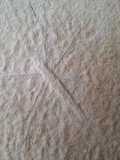 Wasserläufer solnhofen gebraucht kaufen  Xanten