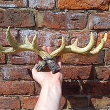 Vintage look deer for sale  SCUNTHORPE