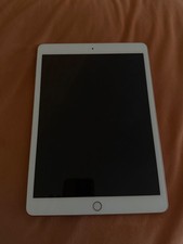 Ipad apple rosa usato  Palermo