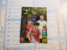 Carte panini adrenalyn d'occasion  Châtillon-sur-Seine