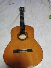 Eko natural chitarra usato  Venezia