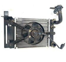 Radiatore elettroventola kymco usato  Desio