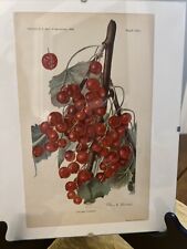 1909 diploma currant for sale  Wheaton