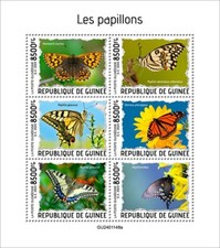 2025 guinea butterflies d'occasion  Brunoy