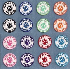 Service dog working for sale  Cassville