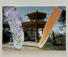 Hsiao chin usato  Nettuno