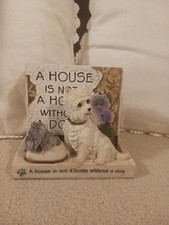 Westie west highland for sale  CREWE