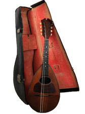 Mandolino gennaro achille usato  Vaiano Cremasco