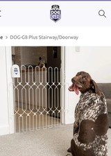 Fold flat dog for sale  DEREHAM