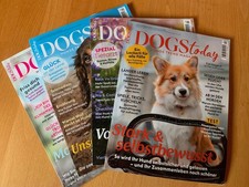 Dogstoday zeitschrift ausgaben gebraucht kaufen  Mannheim