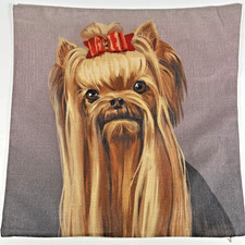 Yorkshire terrier long for sale  Spring