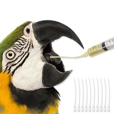 Chick feeding probes d'occasion  Expédié en Belgium