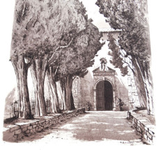 Cyprès chapelle caderot d'occasion  Chancelade