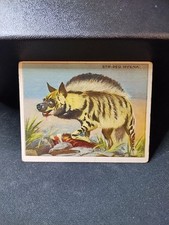 Tobacco card hassan for sale  Virginia Beach
